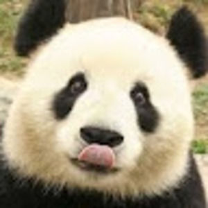 Meet your Posher, Elia